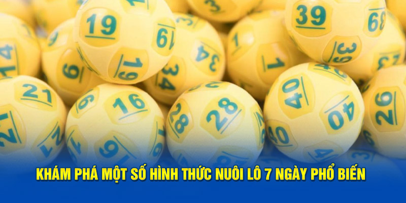 Nuôi Lô 7 Ngày - Bí Quyết Hiệu Quả Giúp Bạn Thắng Lớn