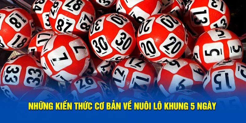 Nuôi Lô Khung 5 Ngày Hiệu Quả Với Công Thức Tính Lô Chuẩn