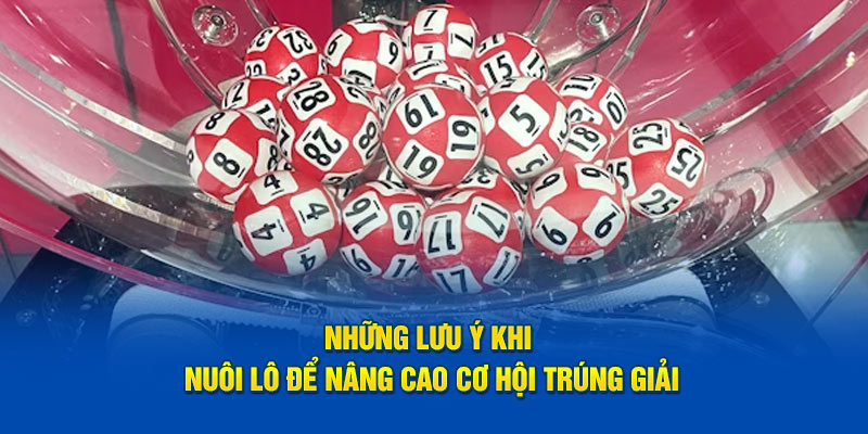 Nuôi Lô Khung 5 Ngày Hiệu Quả Với Công Thức Tính Lô Chuẩn