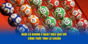 Nuôi Lô Khung 5 Ngày Hiệu Quả Với Công Thức Tính Lô Chuẩn