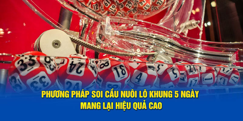 Nuôi Lô Khung 5 Ngày Hiệu Quả Với Công Thức Tính Lô Chuẩn