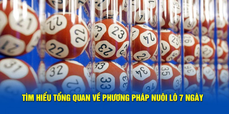 Nuôi Lô 7 Ngày - Bí Quyết Hiệu Quả Giúp Bạn Thắng Lớn